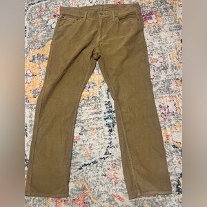 American Eagle Outfitters Corduroy Pants in Brown